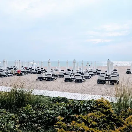 Oasis & Seaside *